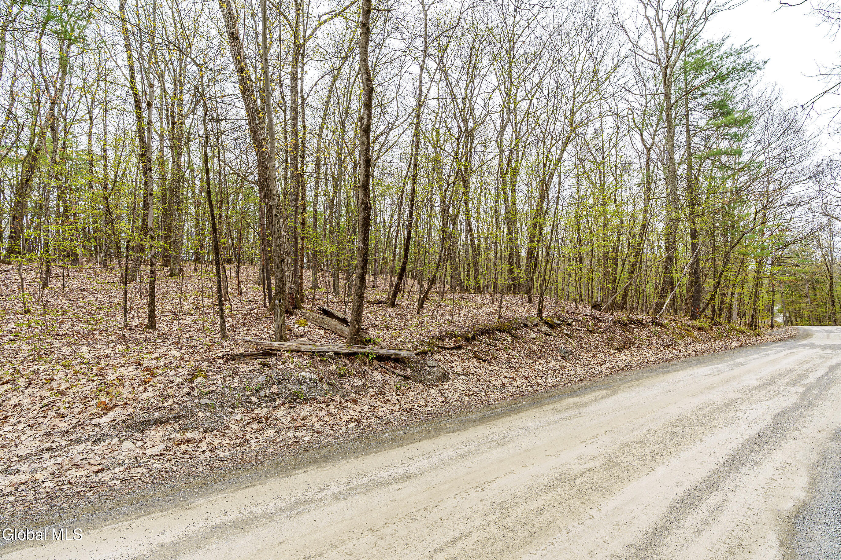 83 Maschodack Road Nassau, NY 12123 - Photo 9 of 26 004-Mashodack-Rd-Nassau-NY-12123