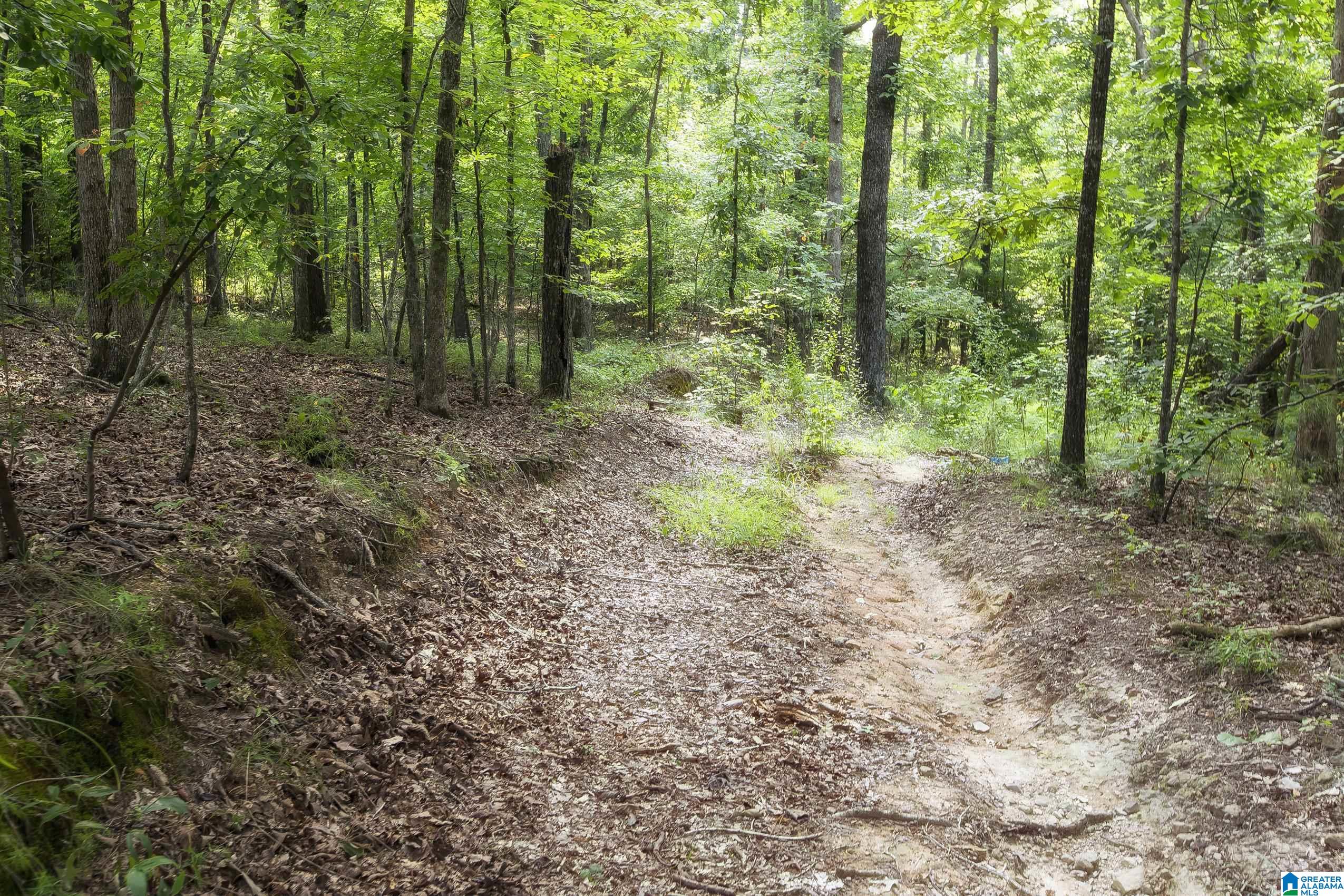 8532 Shady Trail, Unit 401 Helena, AL 35022 - Photo 3 of 25