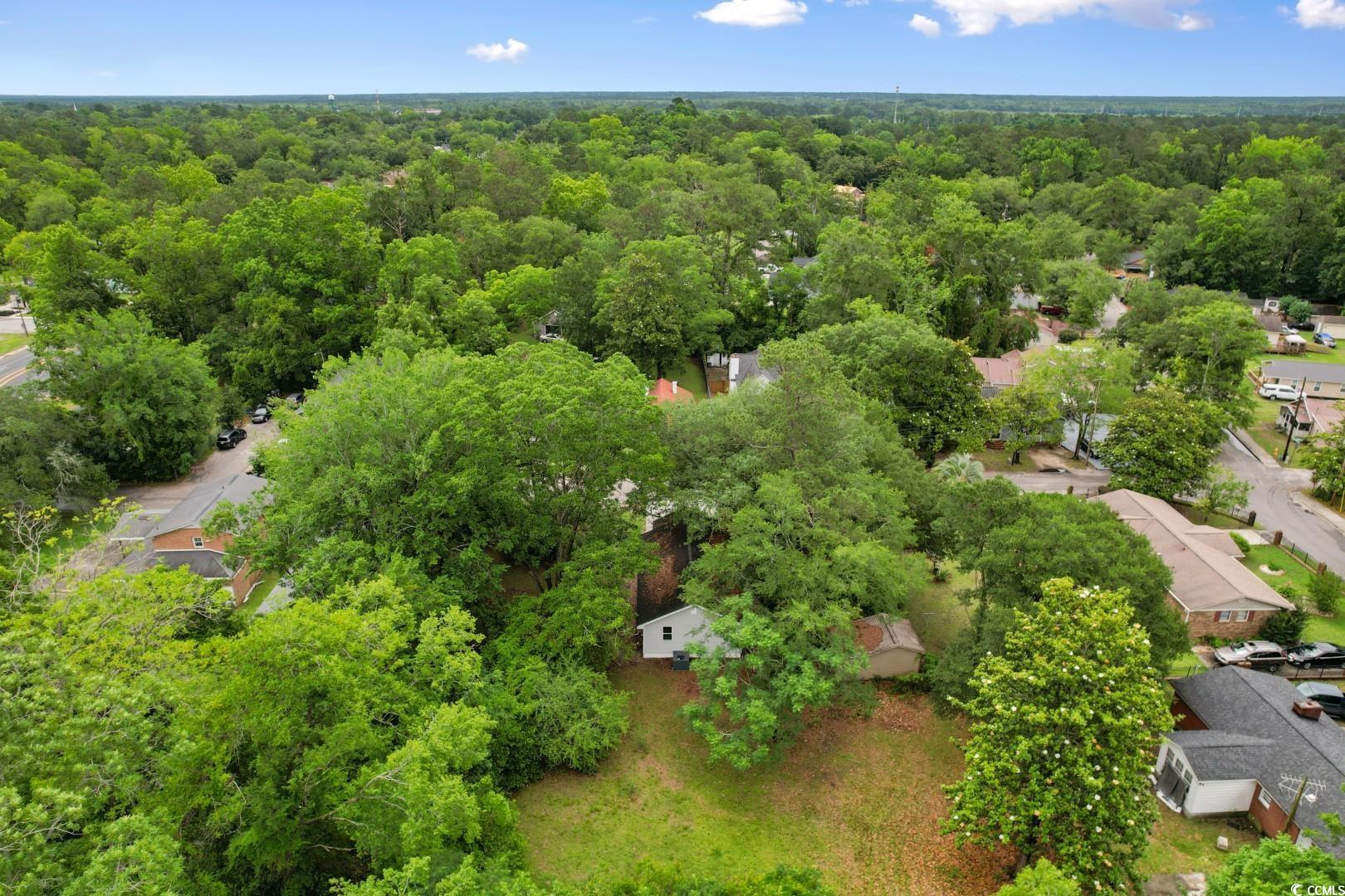 1712 Singleton Street Conway, SC 29527 - Photo 37 of 40