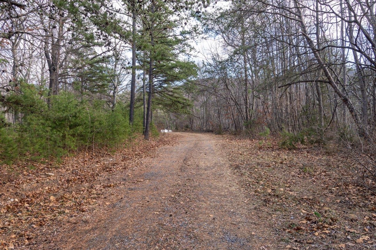 0 Fleming Park Road Mount Jackson, VA 22842 - Photo 11 of 33