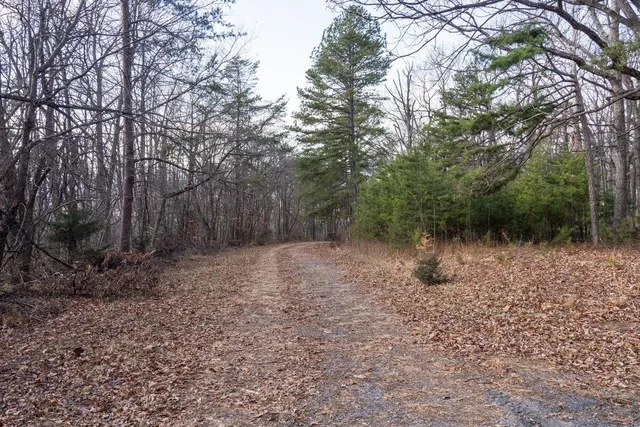 $99,900 | 0 Fleming Park Road, Mount Jackson, VA 22842