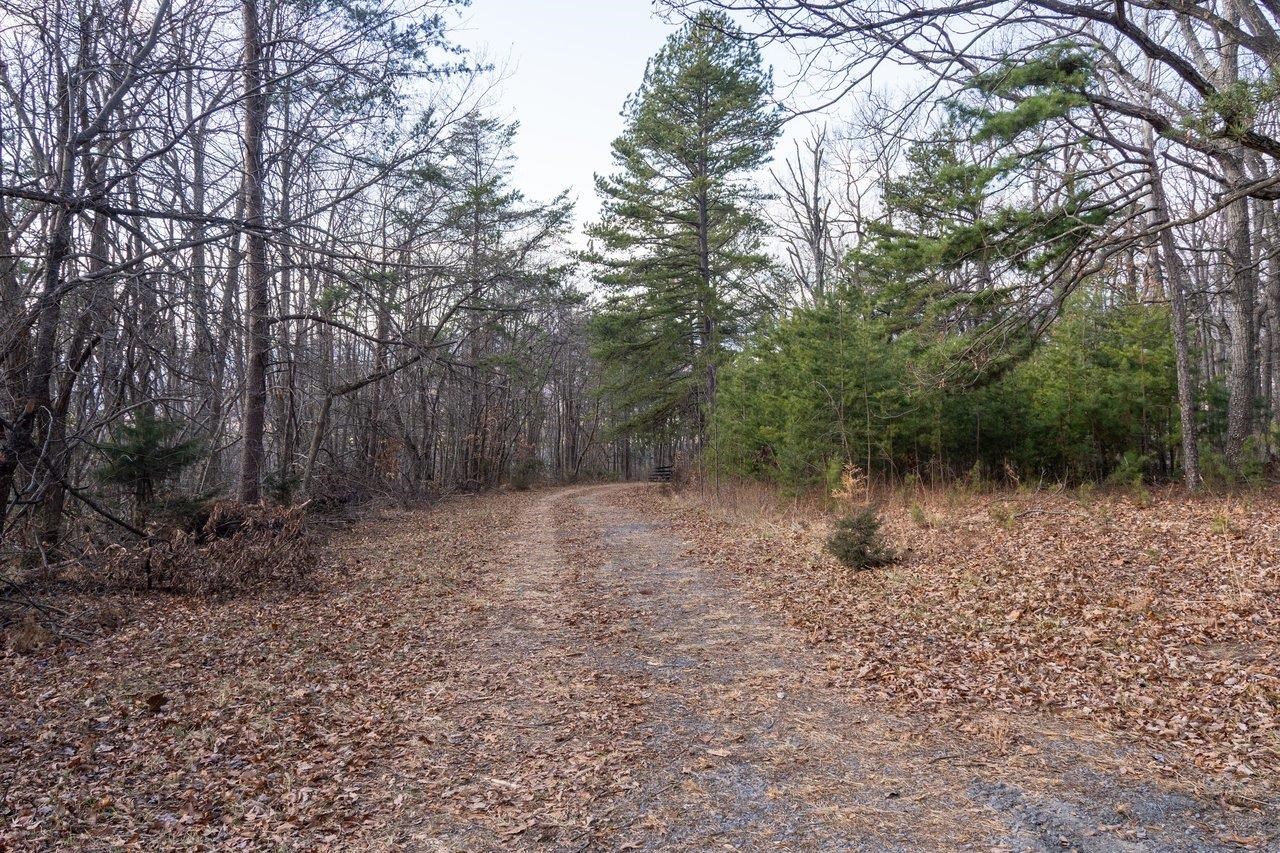 0 Fleming Park Road Mount Jackson, VA 22842 - Photo 12 of 33