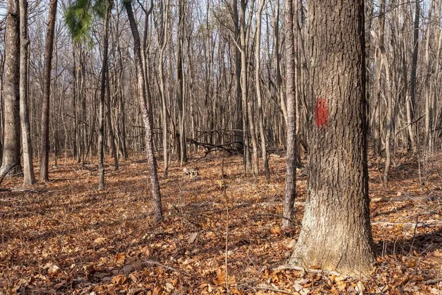 $99,900 | 0 Fleming Park Road, Mount Jackson, VA 22842