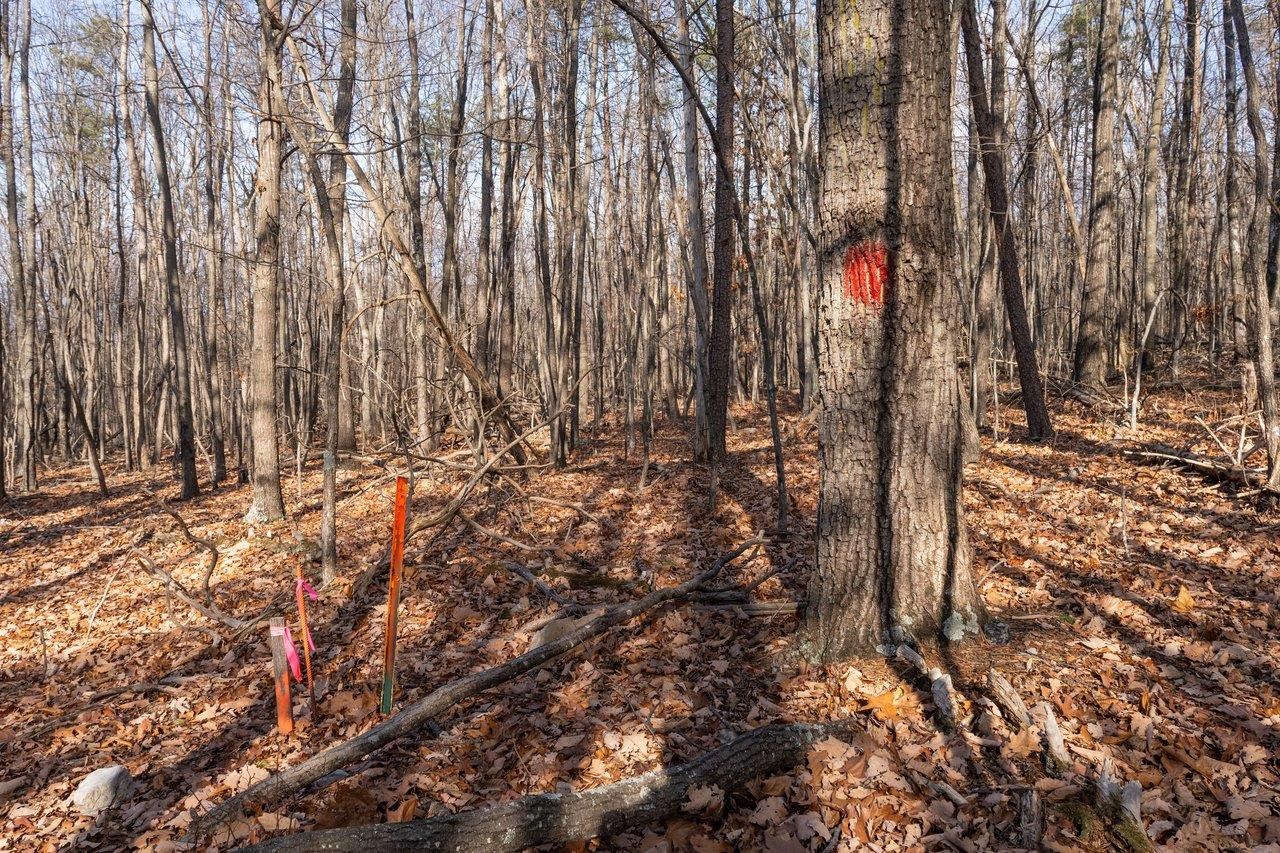 0 Fleming Park Road Mount Jackson, VA 22842 - Photo 15 of 33