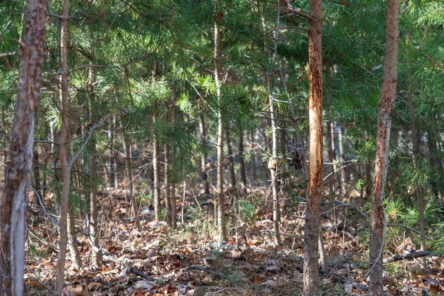 $99,900 | 0 Fleming Park Road, Mount Jackson, VA 22842