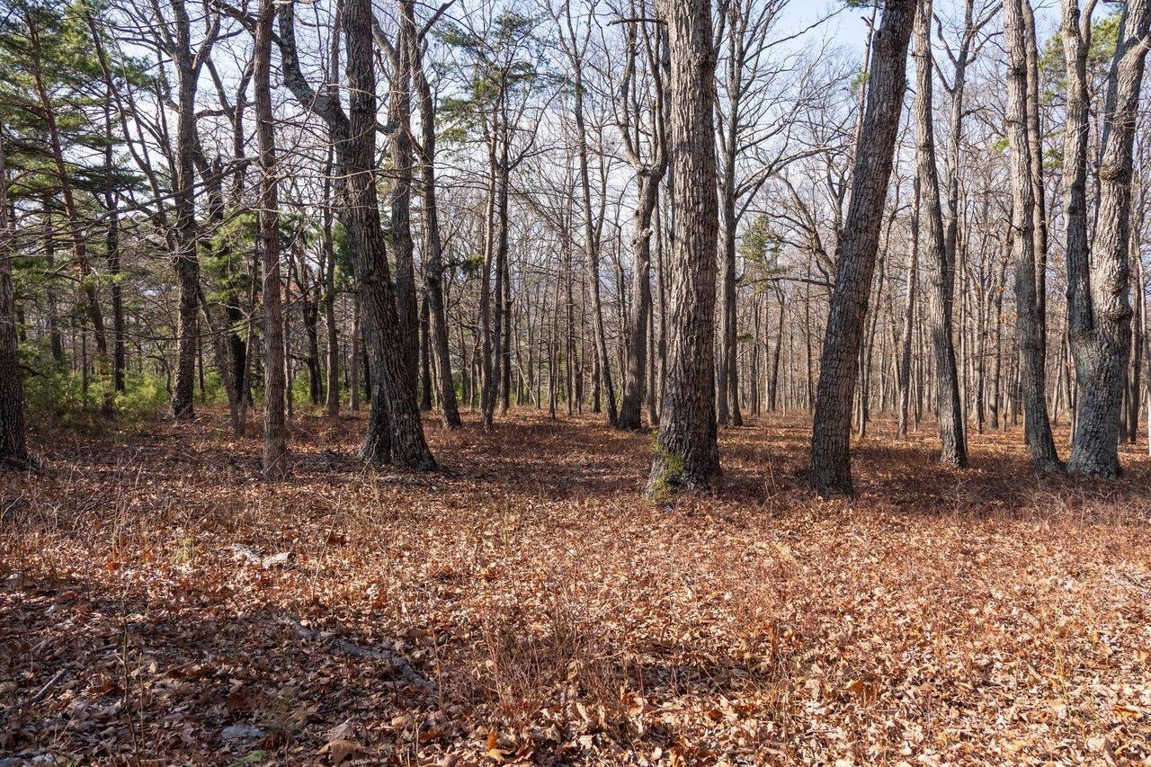 0 Fleming Park Road Mount Jackson, VA 22842 - Photo 17 of 33