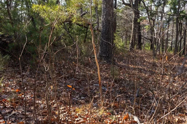 $99,900 | 0 Fleming Park Road, Mount Jackson, VA 22842