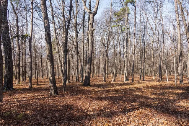 $99,900 | 0 Fleming Park Road, Mount Jackson, VA 22842