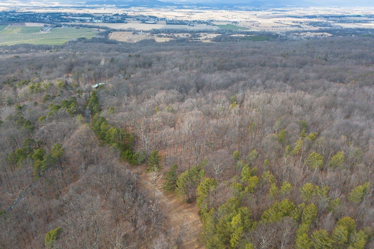 0 Fleming Park Road Mount Jackson, VA 22842 - Photo 2 of 33