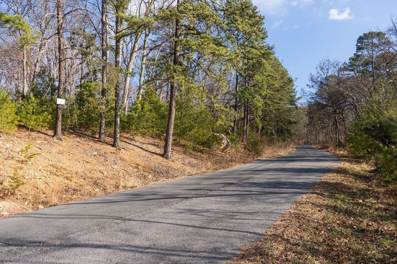 0 Fleming Park Road Mount Jackson, VA 22842 - Photo 24 of 33