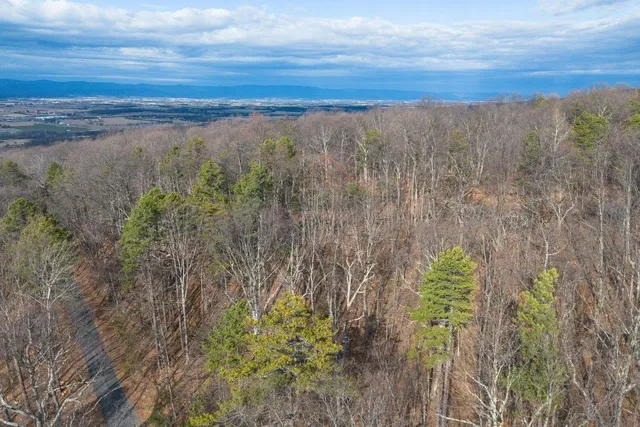 $99,900 | 0 Fleming Park Road, Mount Jackson, VA 22842