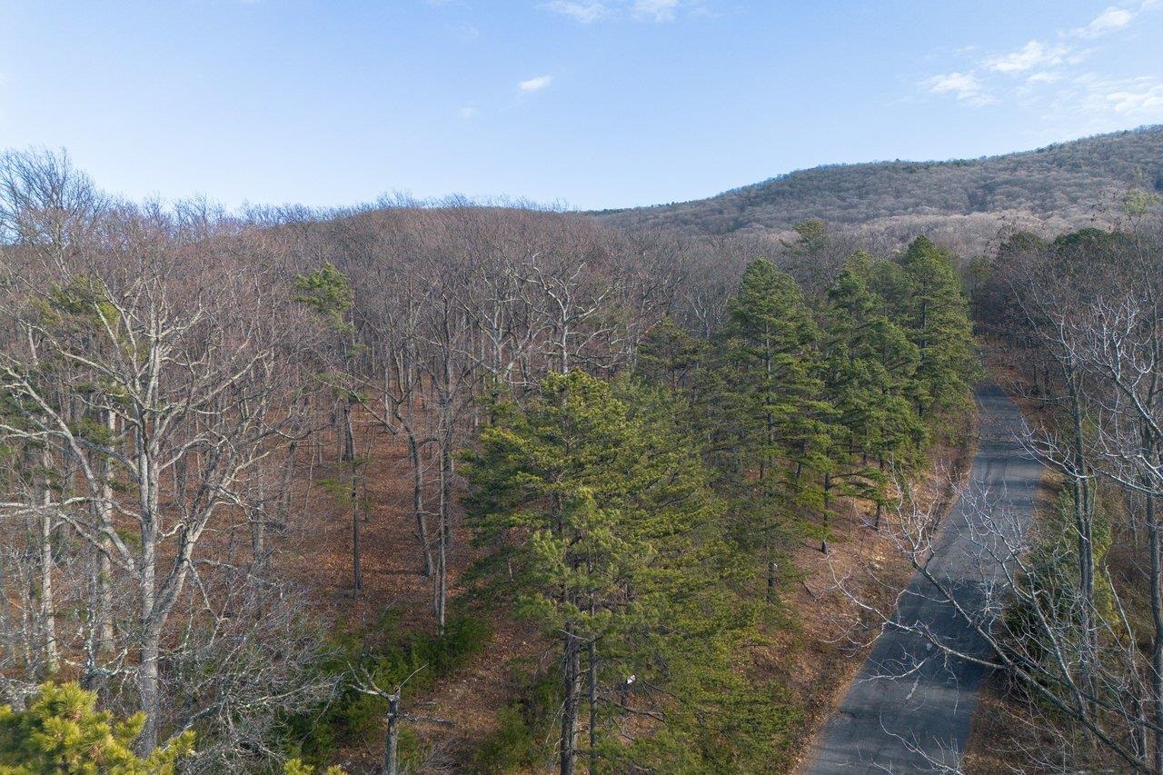 0 Fleming Park Road Mount Jackson, VA 22842 - Photo 29 of 33