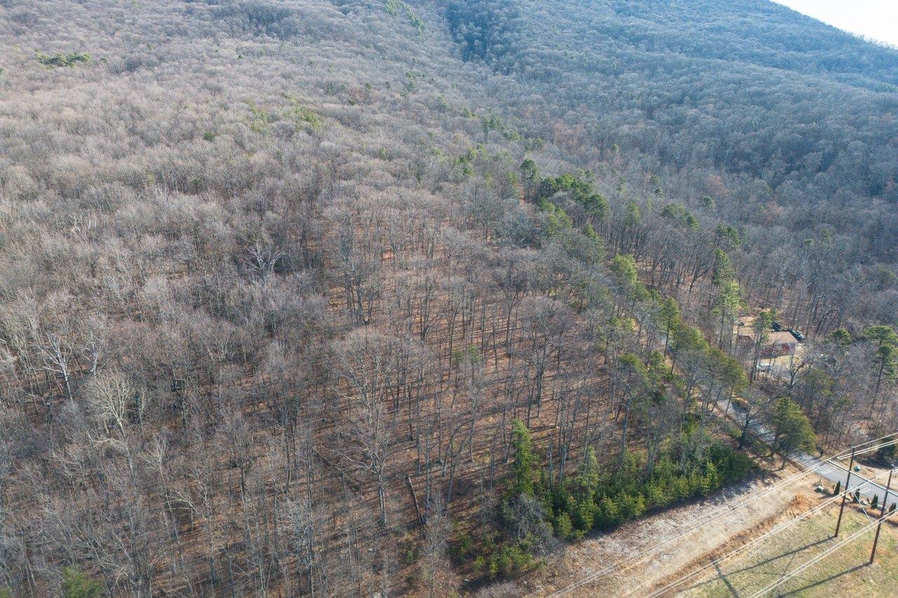 0 Fleming Park Road Mount Jackson, VA 22842 - Photo 6 of 33