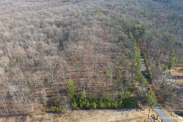 $99,900 | 0 Fleming Park Road, Mount Jackson, VA 22842