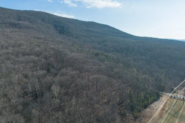 $99,900 | 0 Fleming Park Road, Mount Jackson, VA 22842