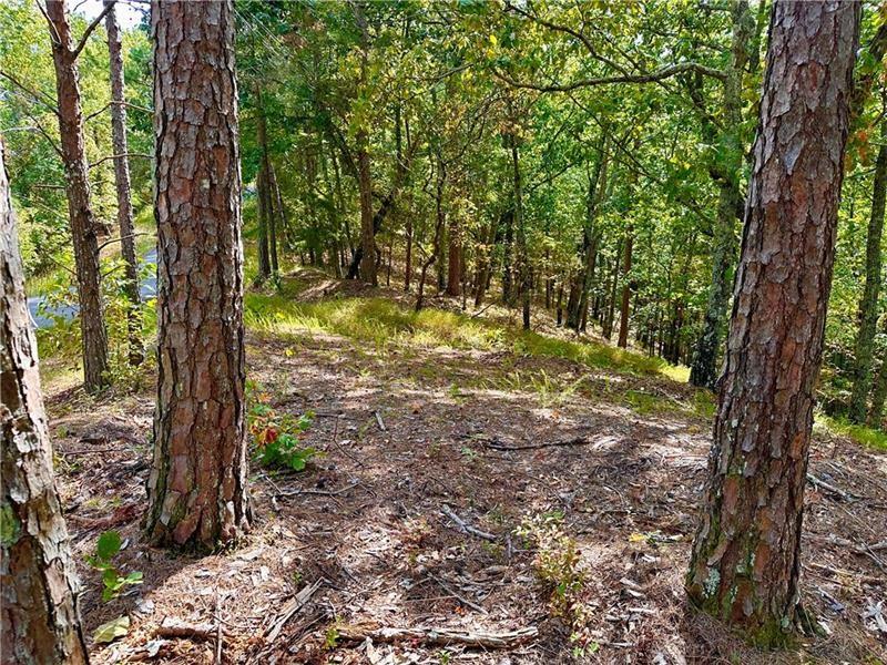 264 Stirratt Road Ranger, GA 30734 - Photo 2 of 55