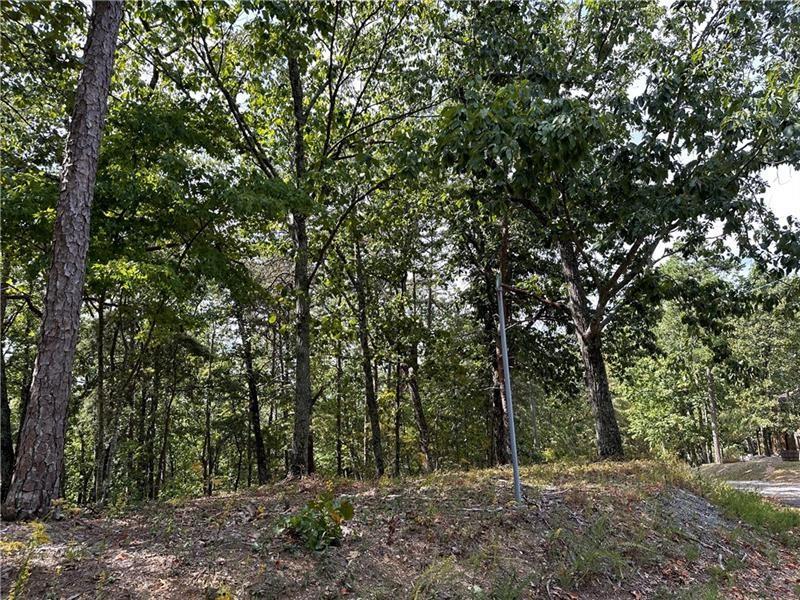 264 Stirratt Road Ranger, GA 30734 - Photo 4 of 55