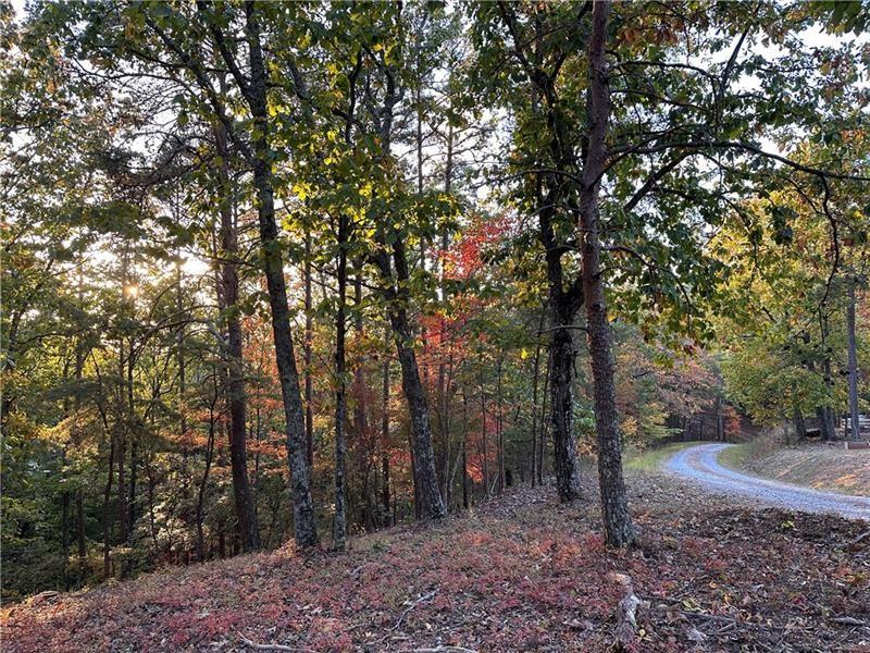 264 Stirratt Road Ranger, GA 30734 - Photo 5 of 55