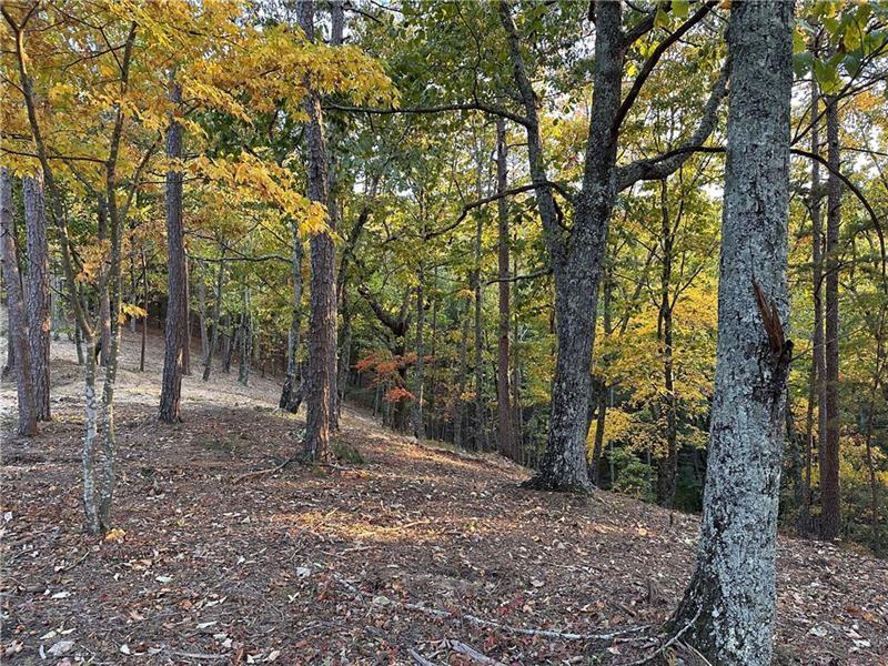 264 Stirratt Road Ranger, GA 30734 - Photo 6 of 55