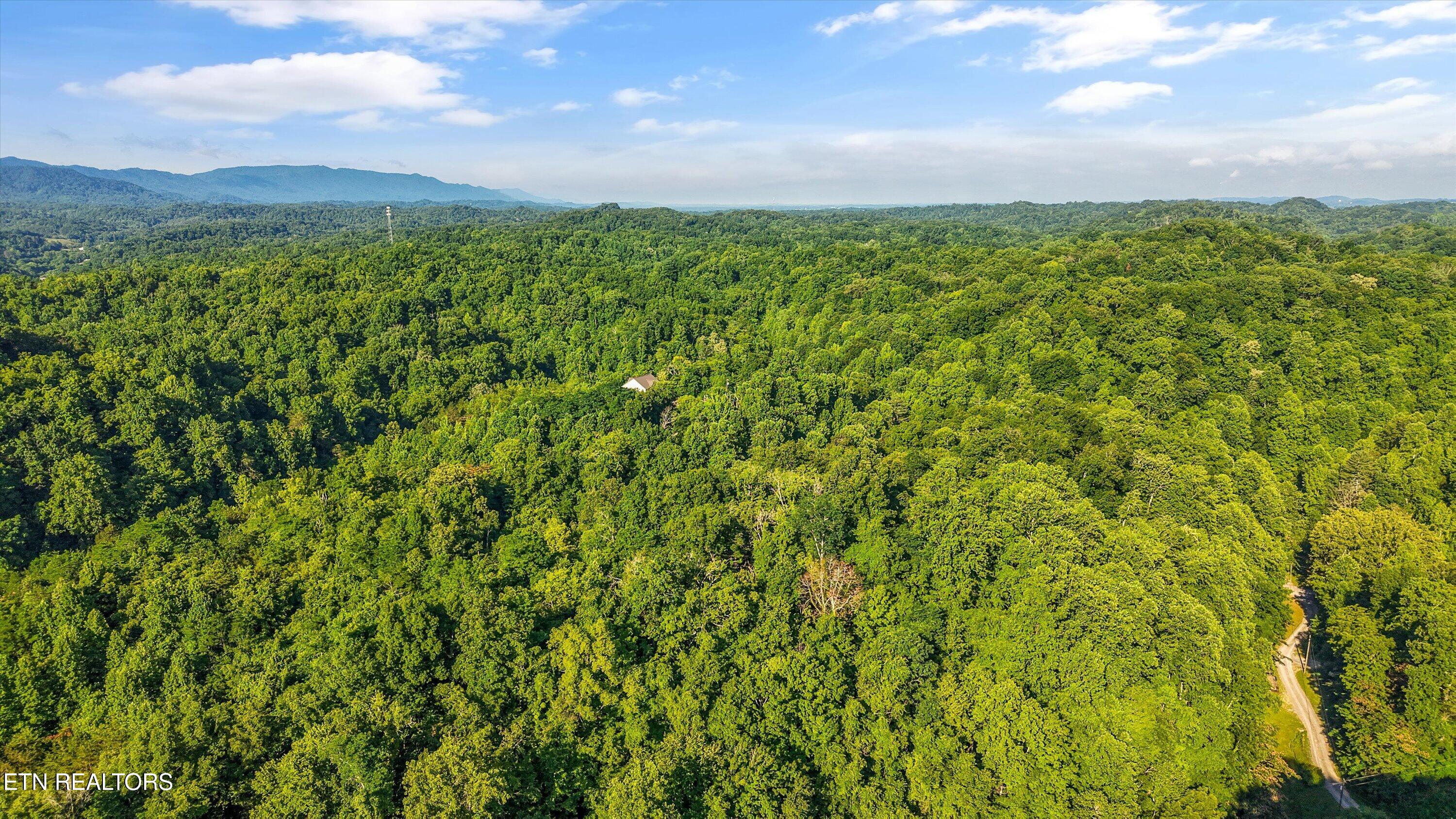 1717 Long Branch Road Seymour, TN 37865 - Photo 1 of 10 07-1717 Long Branch Rd07