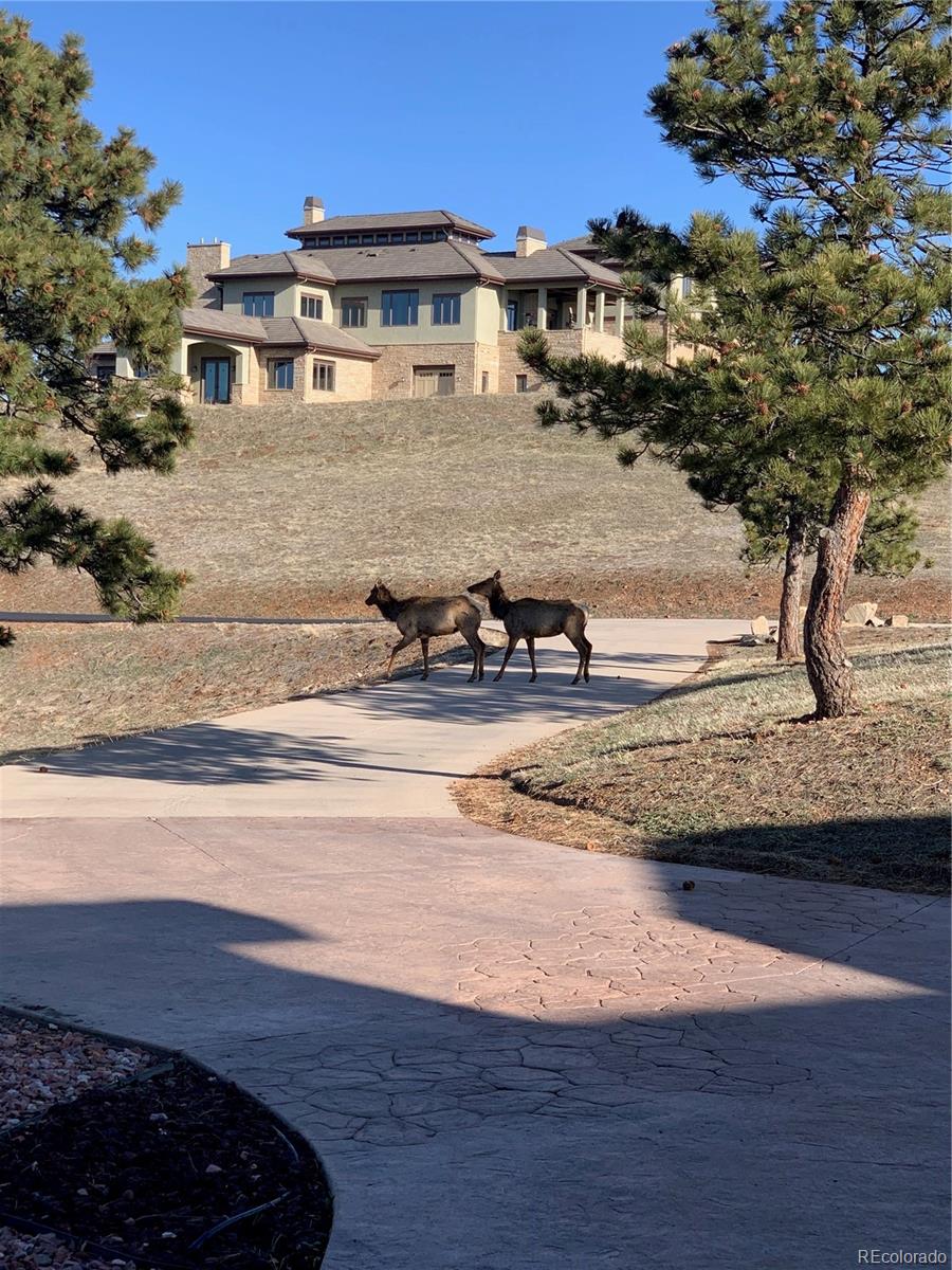 156 South Lookout Mountain Road Golden, CO 80401 - Photo 3 of 50