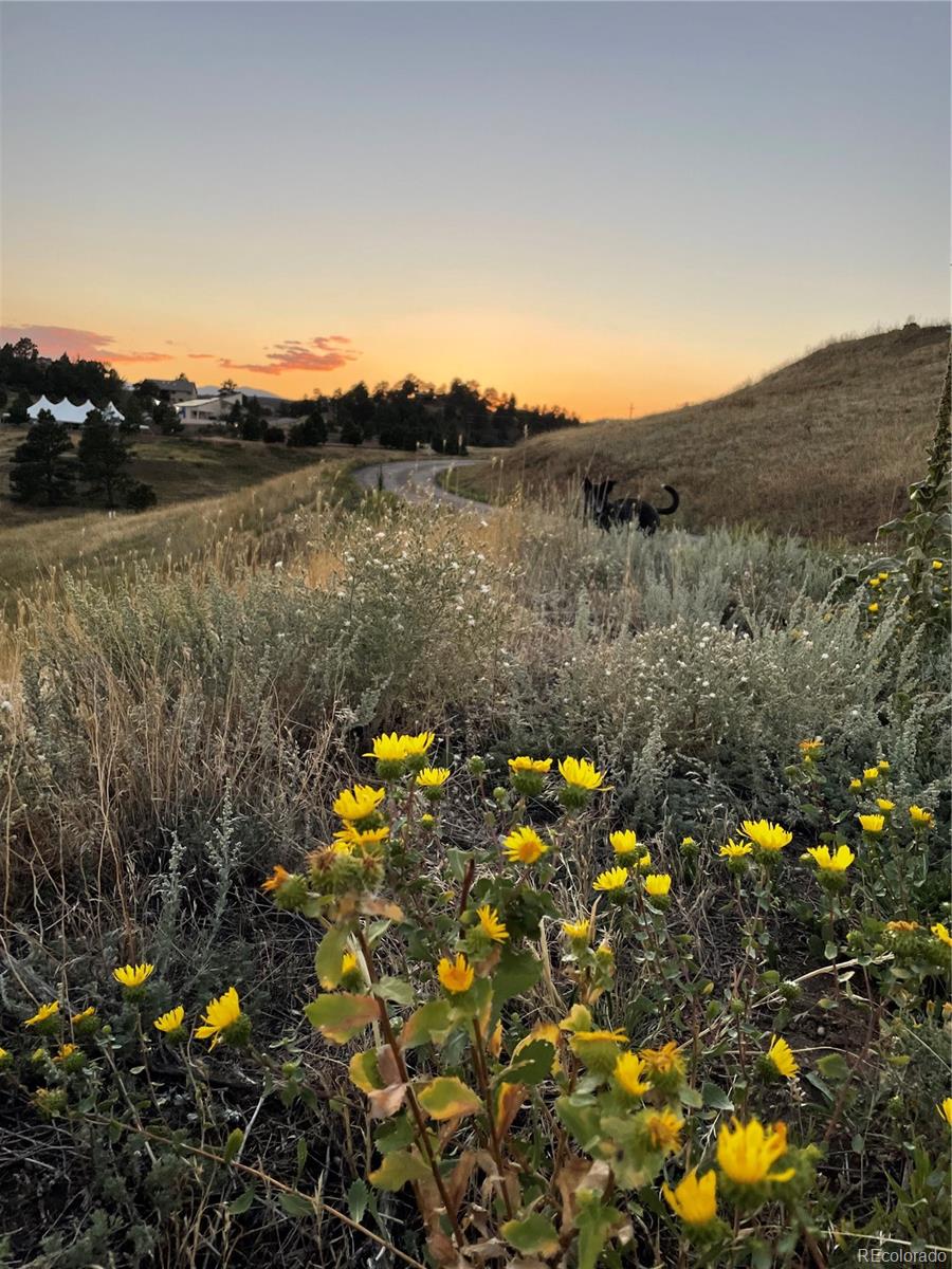 156 South Lookout Mountain Road Golden, CO 80401 - Photo 47 of 50