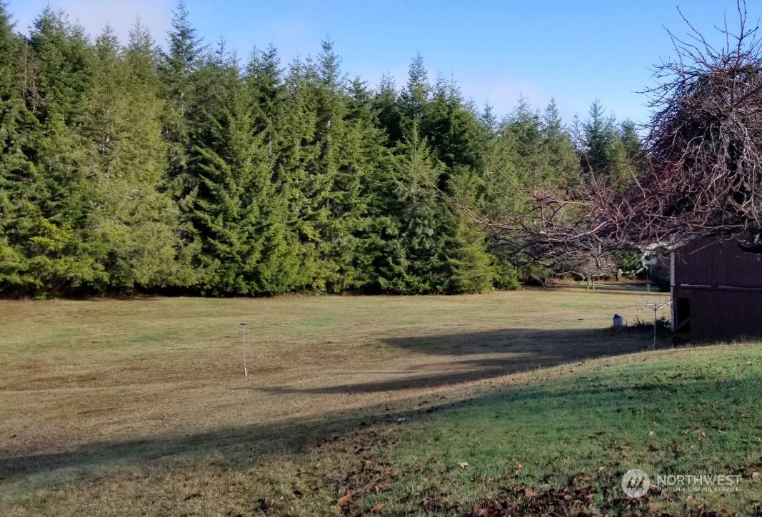976 Ocean Beach Road Hoquiam, WA 98550 - Photo 28 of 34 a view of yard with green space