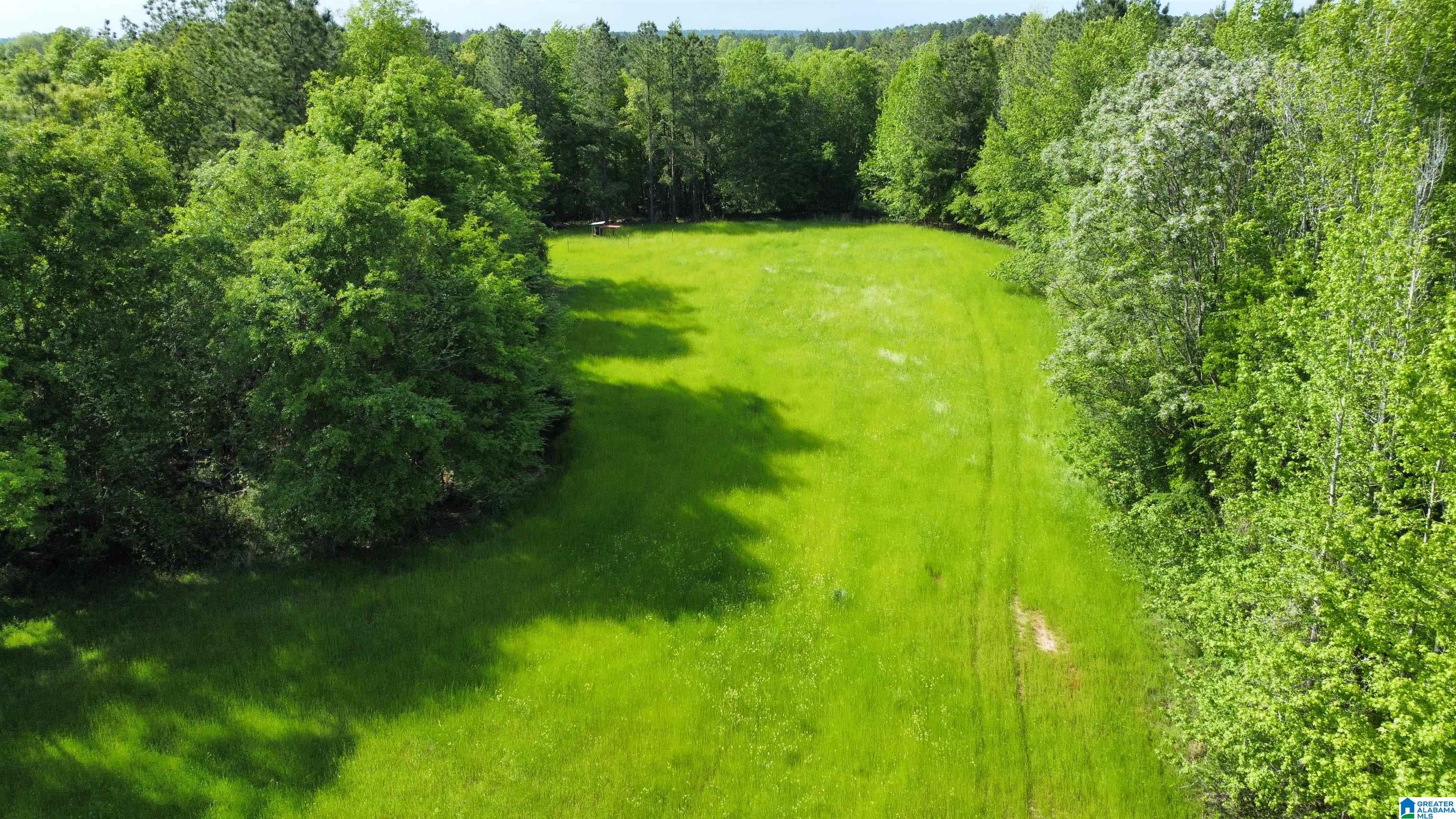 0 County Road 44 Linden, AL 36748 - Photo 3 of 48