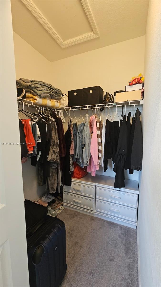 1146 Southeast 26th Street Homestead, FL 33035 - Photo 27 of 42 a view of walk in closet with clothes and shoes