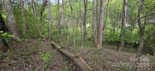 $29,900 | 0 Indian Trail, Lenoir, NC 28645