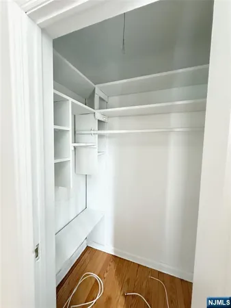 a view of walk in closet with empty racks
