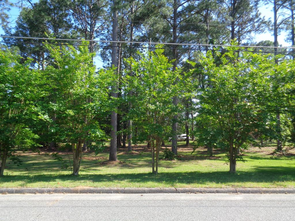 88-ac Solomon Road Headland, AL 36345 - Photo 1 of 1