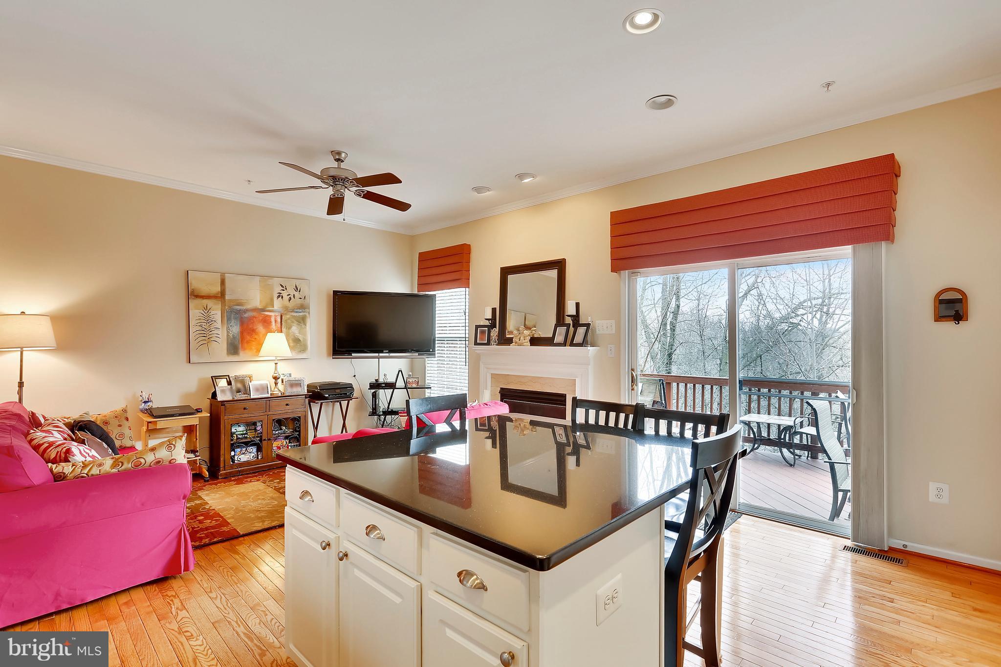33 Inkberry Circle Gaithersburg, MD 20877 - Photo 5 of 30 Kitchen