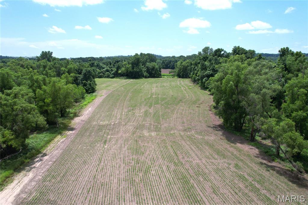 0 Fish Lake Road Prairie du Rocher, IL 62277 - Photo 12 of 15