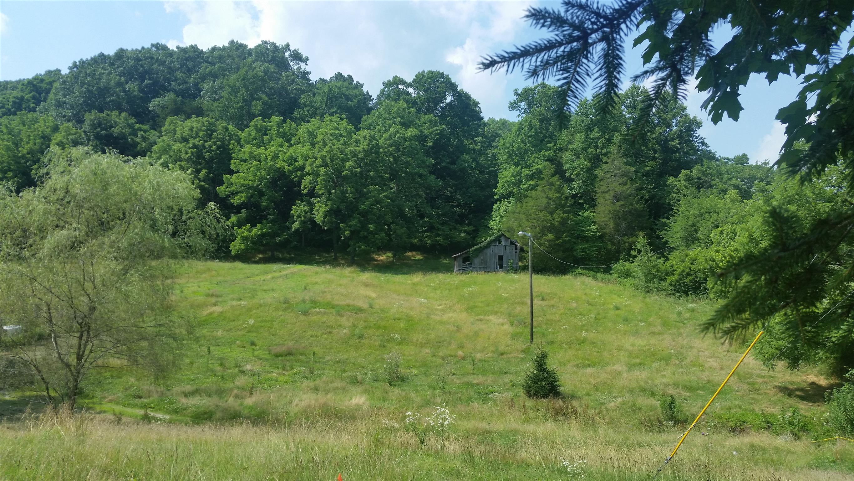 3405 Sweeney Hollow Road Franklin, TN 37064 - Photo 3 of 14 Gallery Image 3