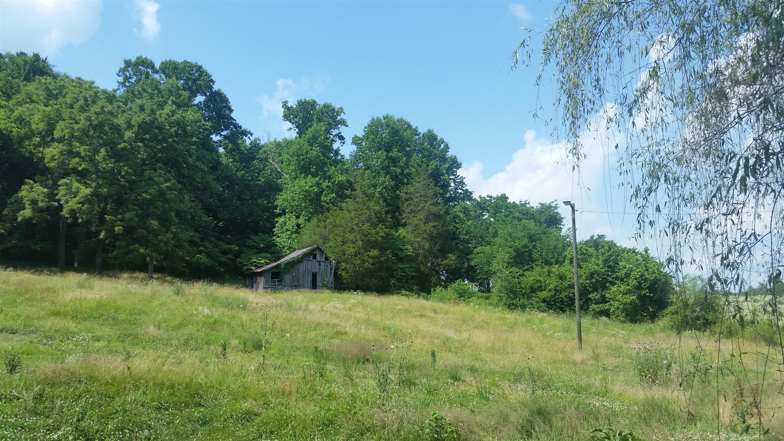 3405 Sweeney Hollow Road Franklin, TN 37064 - Photo 4 of 14 Gallery Image 4