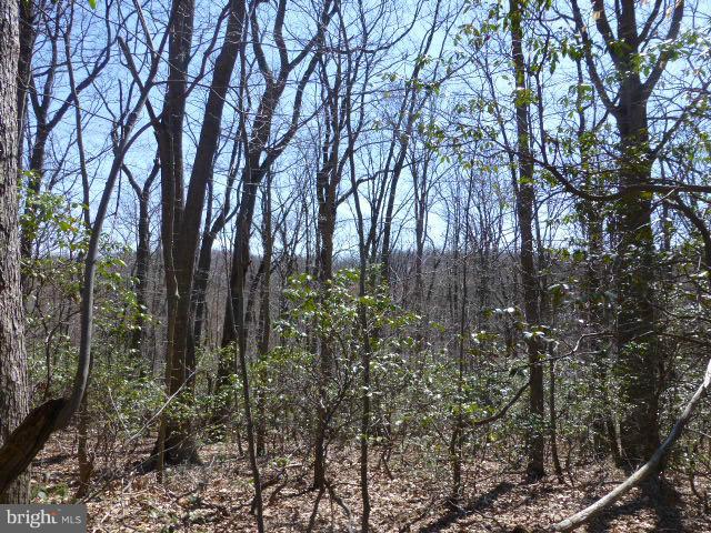 Mt Zion Road Frederick, MD 21703 - Photo 2 of 6 a backyard of a house with lots of trees