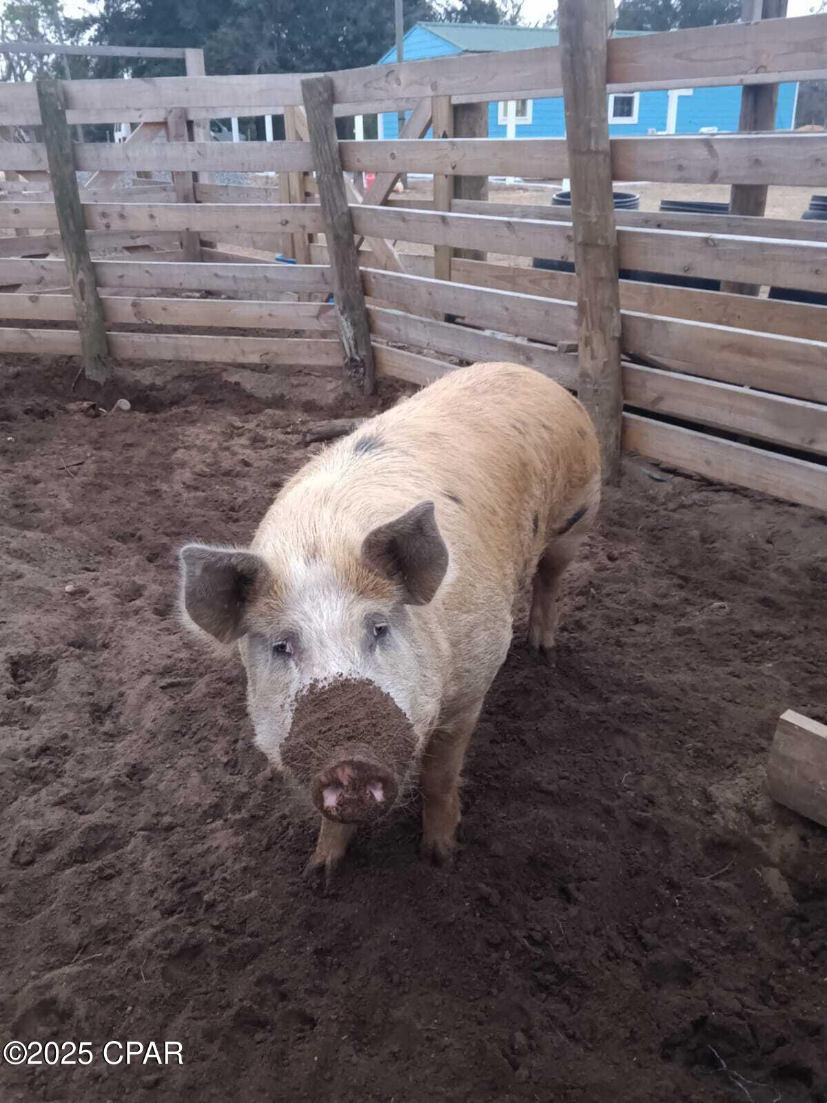 10933 Lawrence Road Fountain, FL 32438 - Photo 20 of 24