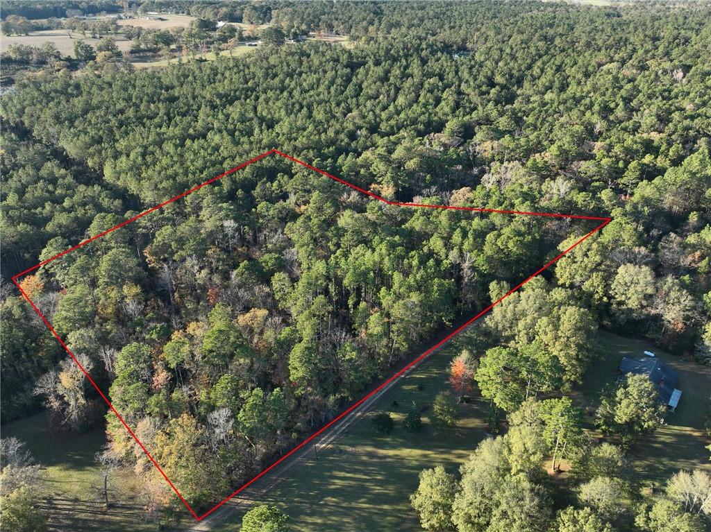 0 McClendon Lane Amite, LA 70422 - Photo 1 of 9