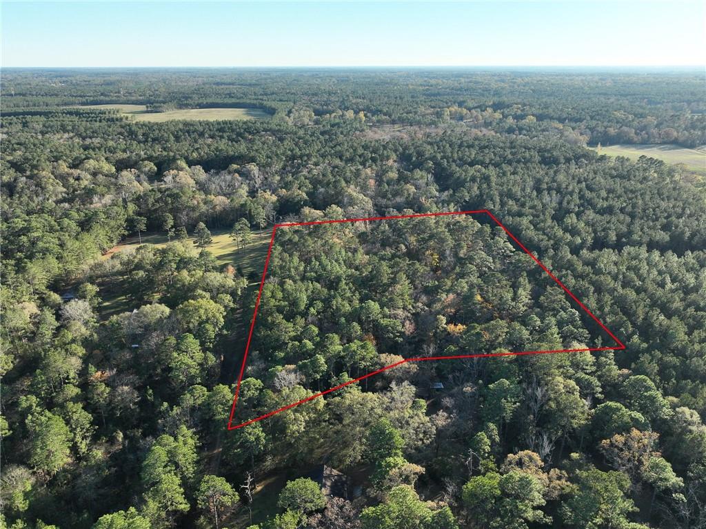 0 McClendon Lane Amite, LA 70422 - Photo 2 of 9