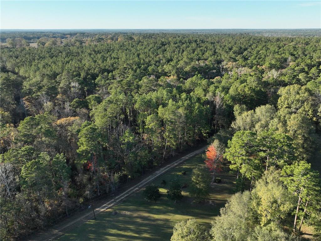 0 McClendon Lane Amite, LA 70422 - Photo 3 of 9