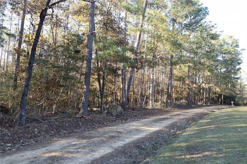 0 McClendon Lane Amite, LA 70422 - Photo 5 of 9