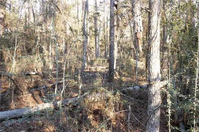 $54,900 | 0 McClendon Lane, Amite, LA 70422