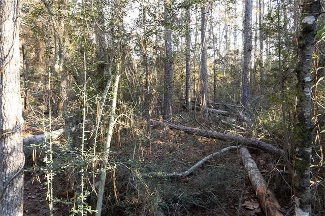 $54,900 | 0 McClendon Lane, Amite, LA 70422