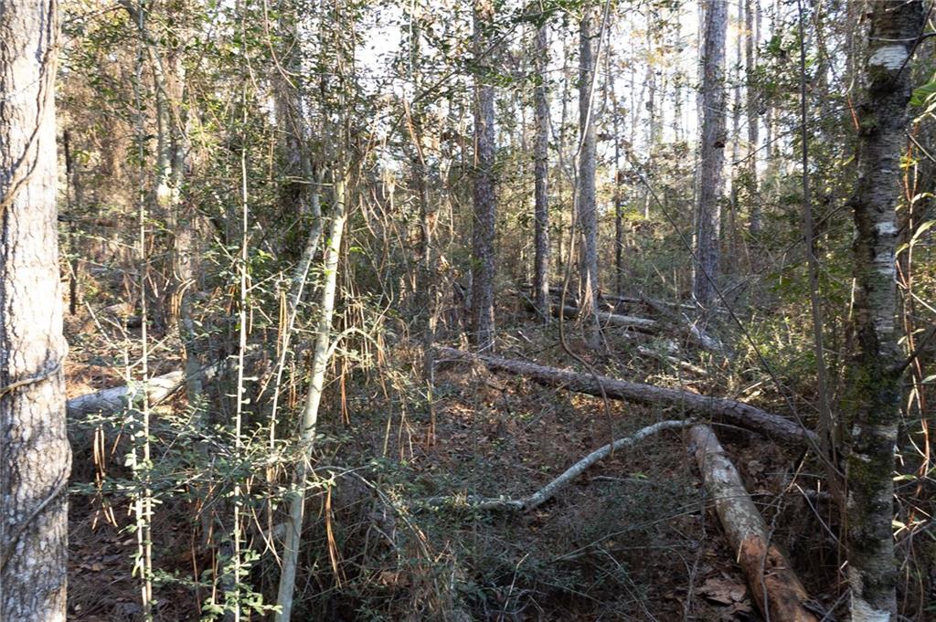 0 McClendon Lane Amite, LA 70422 - Photo 9 of 9