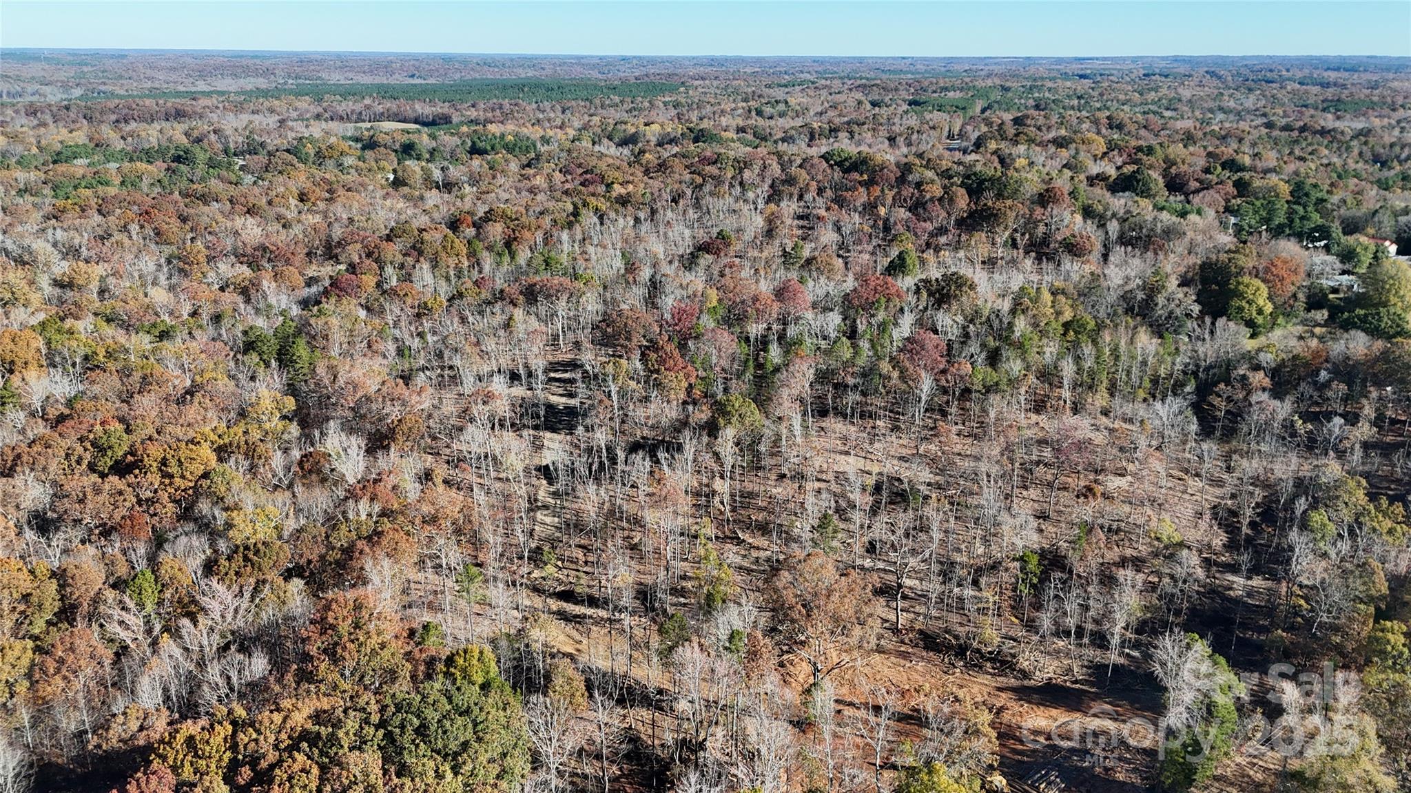 1 Tirzah Church Road Waxhaw, NC 28173 - Photo 7 of 12