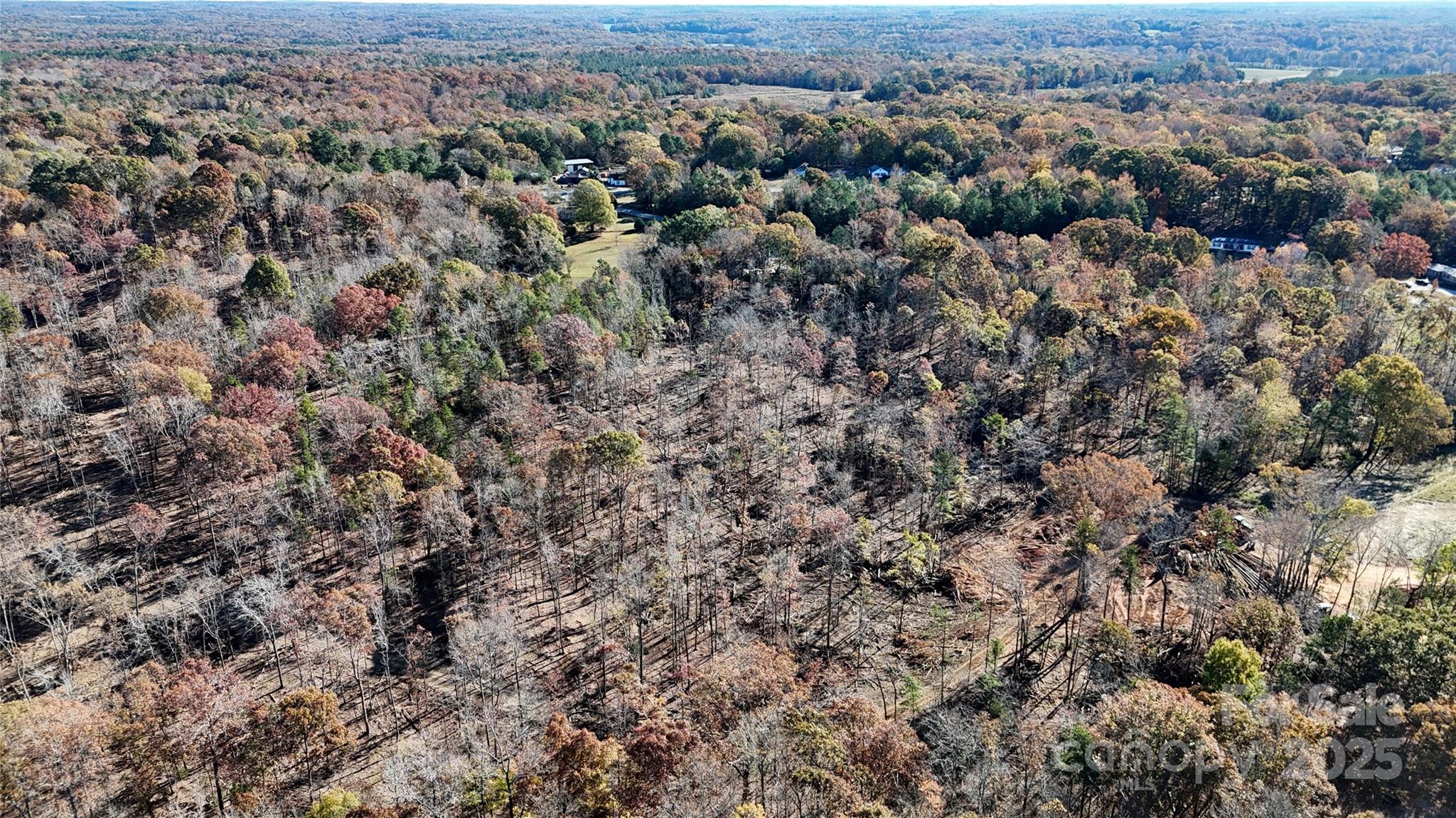 1 Tirzah Church Road Waxhaw, NC 28173 - Photo 10 of 12 an aerial view of house with yard and mountain view