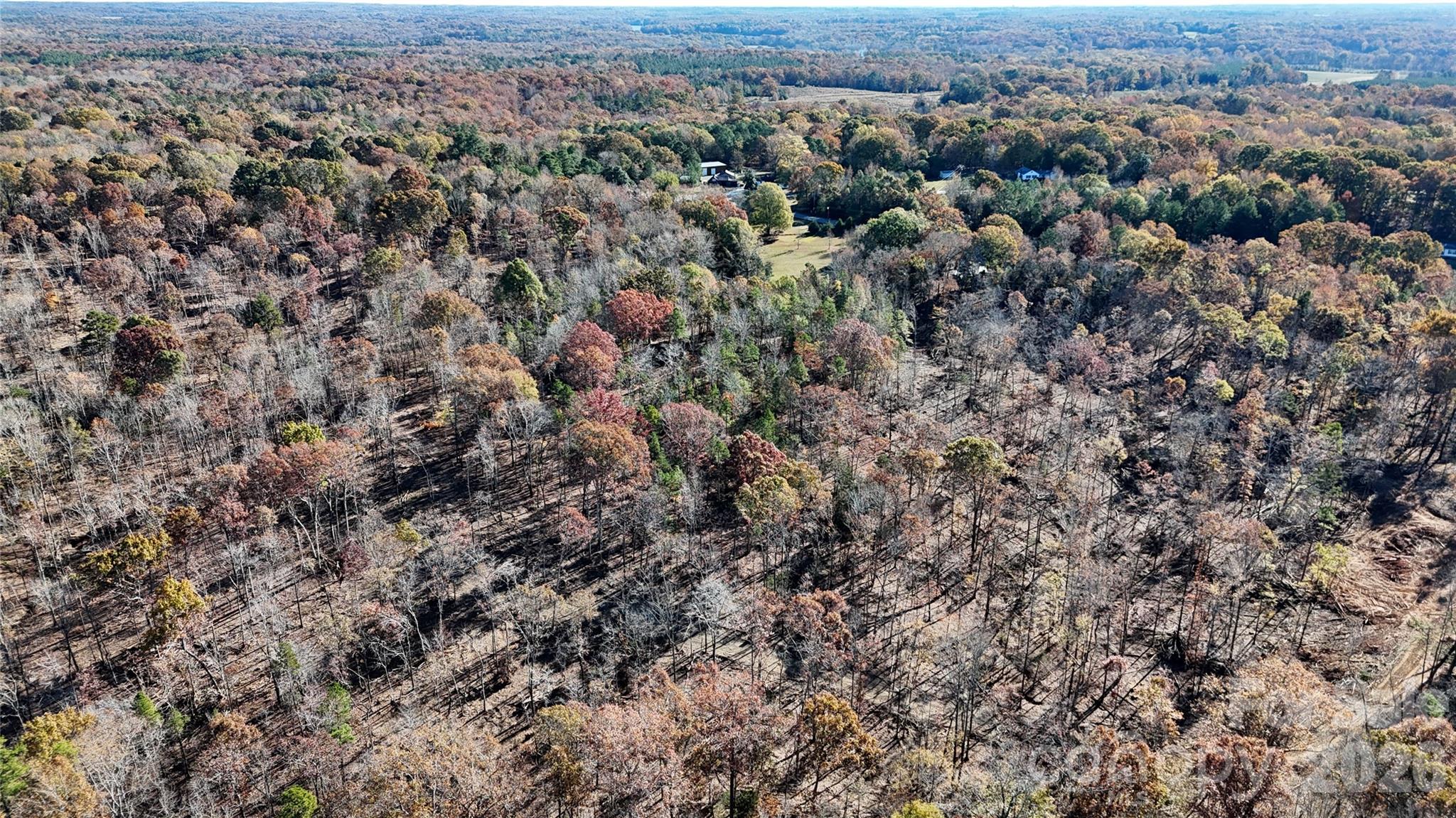 1 Tirzah Church Road Waxhaw, NC 28173 - Photo 10 of 11