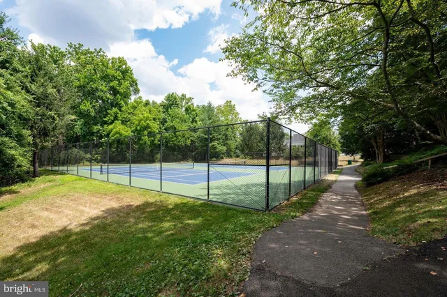 a view of a backyard with large trees
