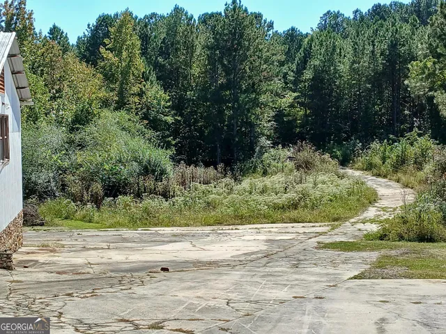 a view of a yard with plants